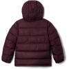 Columbia PIKE LAKE II HOODED JACKET(Moonvista)