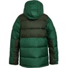 Columbia PIKE LAKE II HOODED JACKET(Rain Forest  Greenscape)