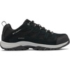 Black Columbia