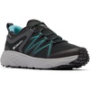 Black Teal