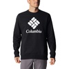 Black/Csc Stacked Logo