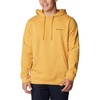 image:imageColumbia Trek Hoodie Hoodie fr HerrenRaw Honey  Boxed Gem Columbia Graphic
