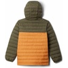 Columbia 2090023CB POWDER LITE II HOODED JAC(Sonnenstein/Steingrün)