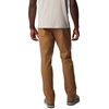 Columbia Herren Wanderhose Flex ROC Utility Pant(Delta)
