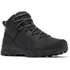 Black Graphite
